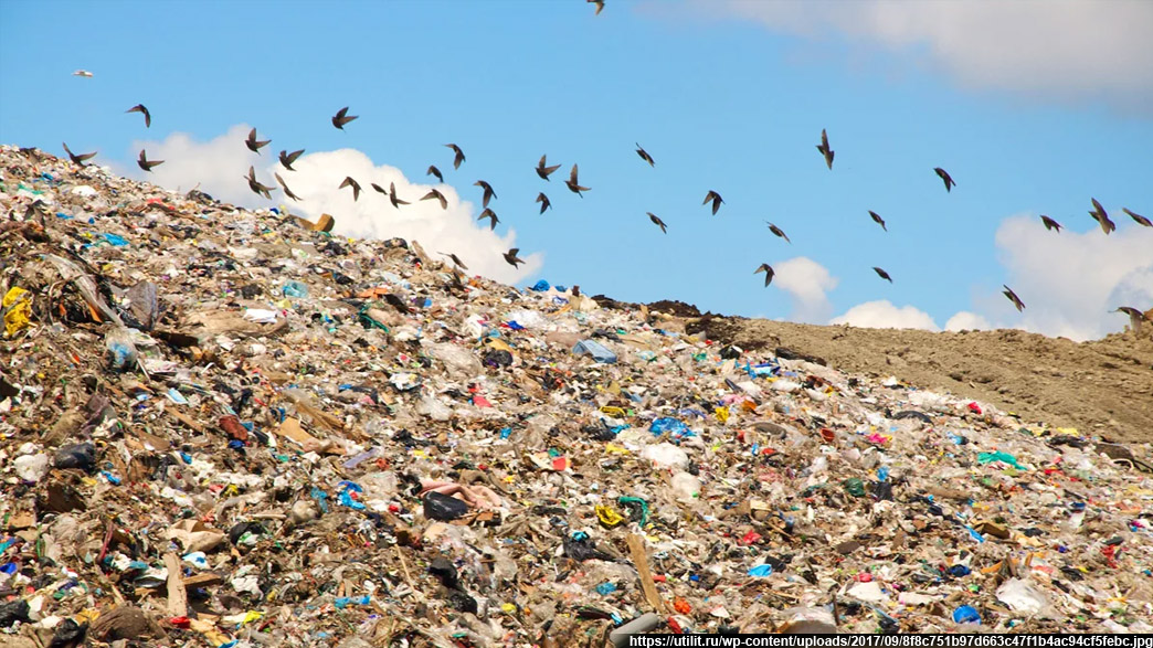 Росприроднадзор зафиксировал нарушения экологического законодательства на мусорном полигоне в Бабанино
