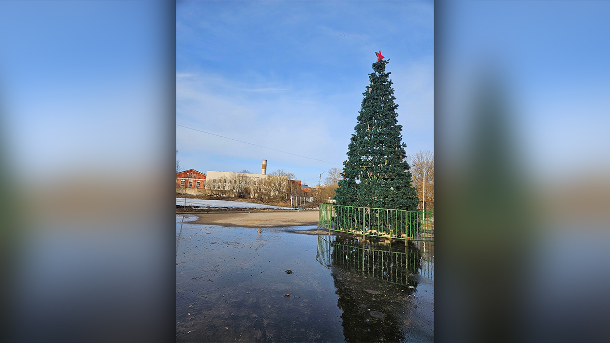В Струнино до сих пор не убрали новогоднюю елку с городской площади