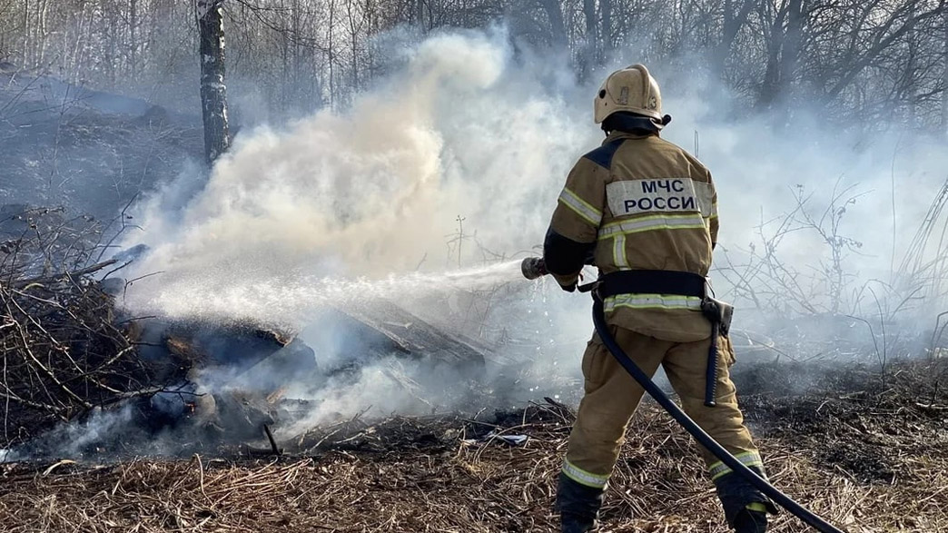 Во Владимирской области зафиксированы первые лесные пожары в этом году