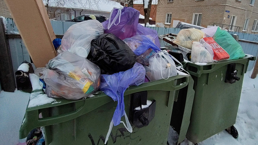 Владимирцы ежедневно жалуются на невывезенный мусор