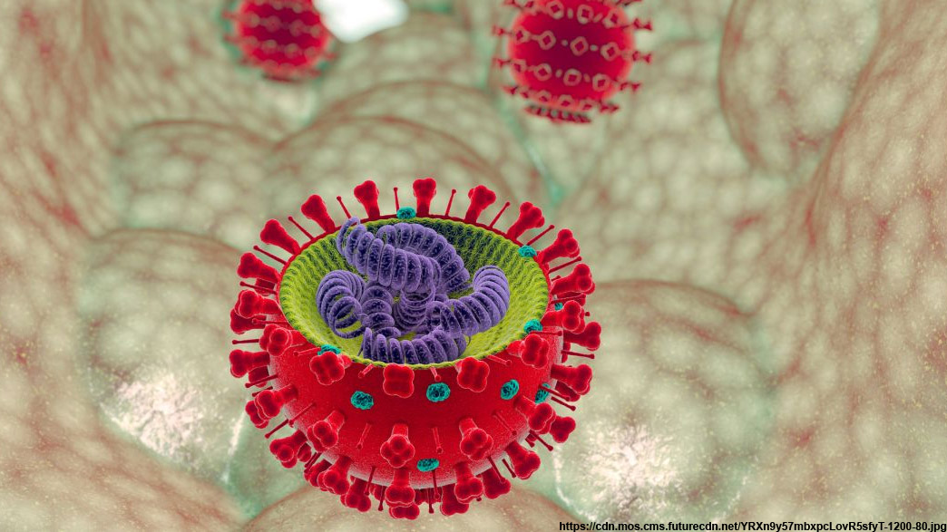Во Владимирской области за сутки выявили 121 нового заболевшего коронавирусом. Это на 38 случаев меньше, чем накануне