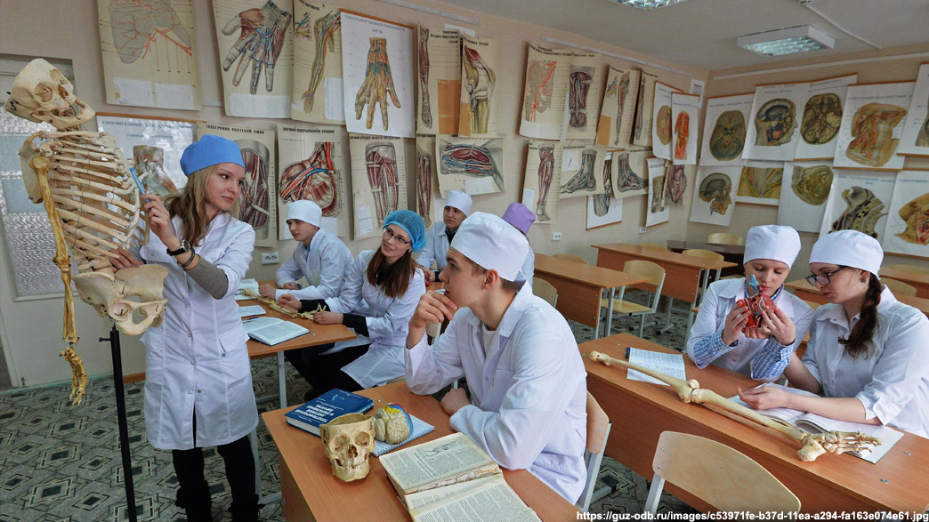На какой стадии находится создание медицинского факультета во Владимирской области?