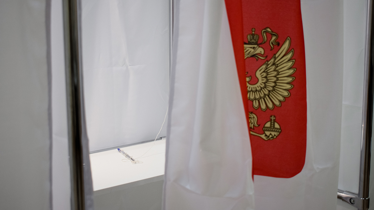 Подсчёт голосов на выборах депутатов владимирского ЗакСобрания