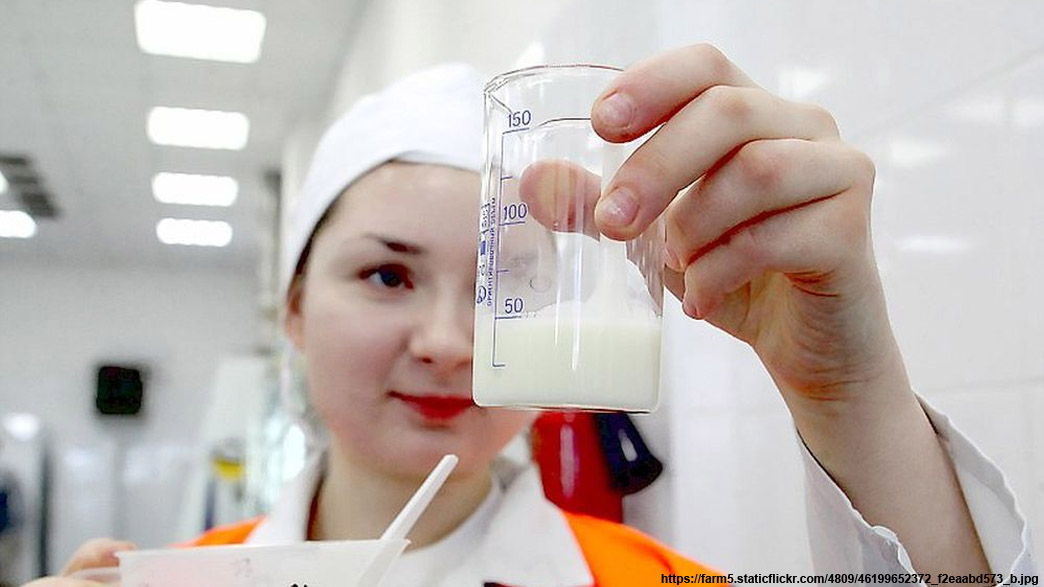 В госучреждениях Владимирской области нашли творог, сметану и молоко с кишечной палочкой