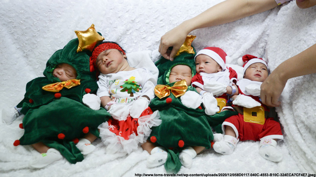 Во Владимирской области в новогодние праздники родились четыре двойни