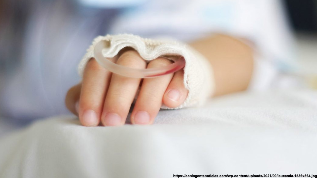 Результаты эксгумации 5-летнего ребенка вывели историю о его смерти в больнице на федеральный уровень