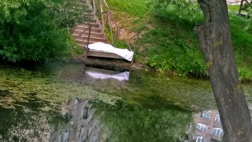 Причину смерти 64-летней женщины в Красносельском пруду города Владимира устанавливает СледКом