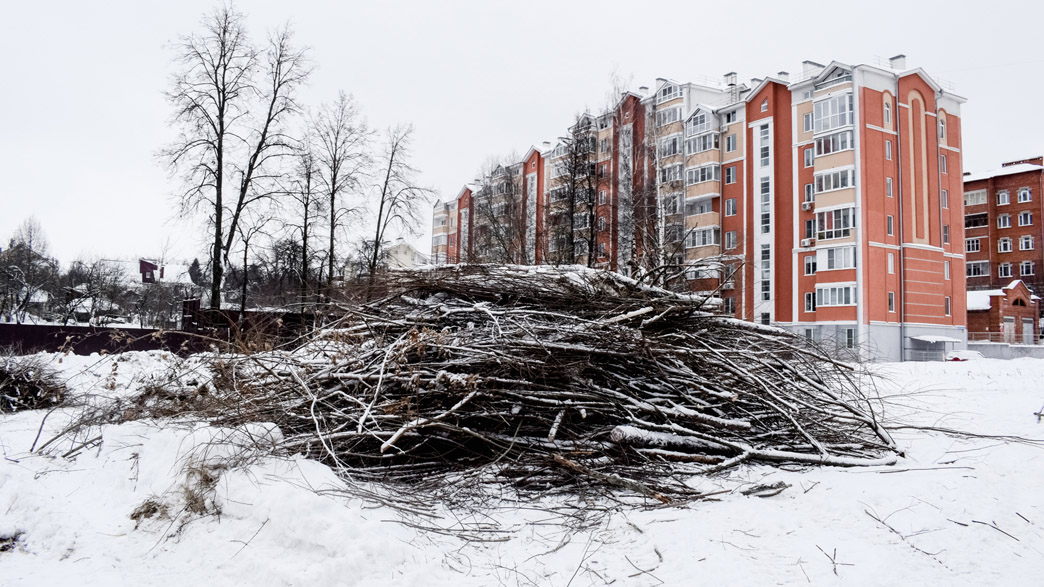Во Владимире начали вырубать старые сады напротив Белого дома