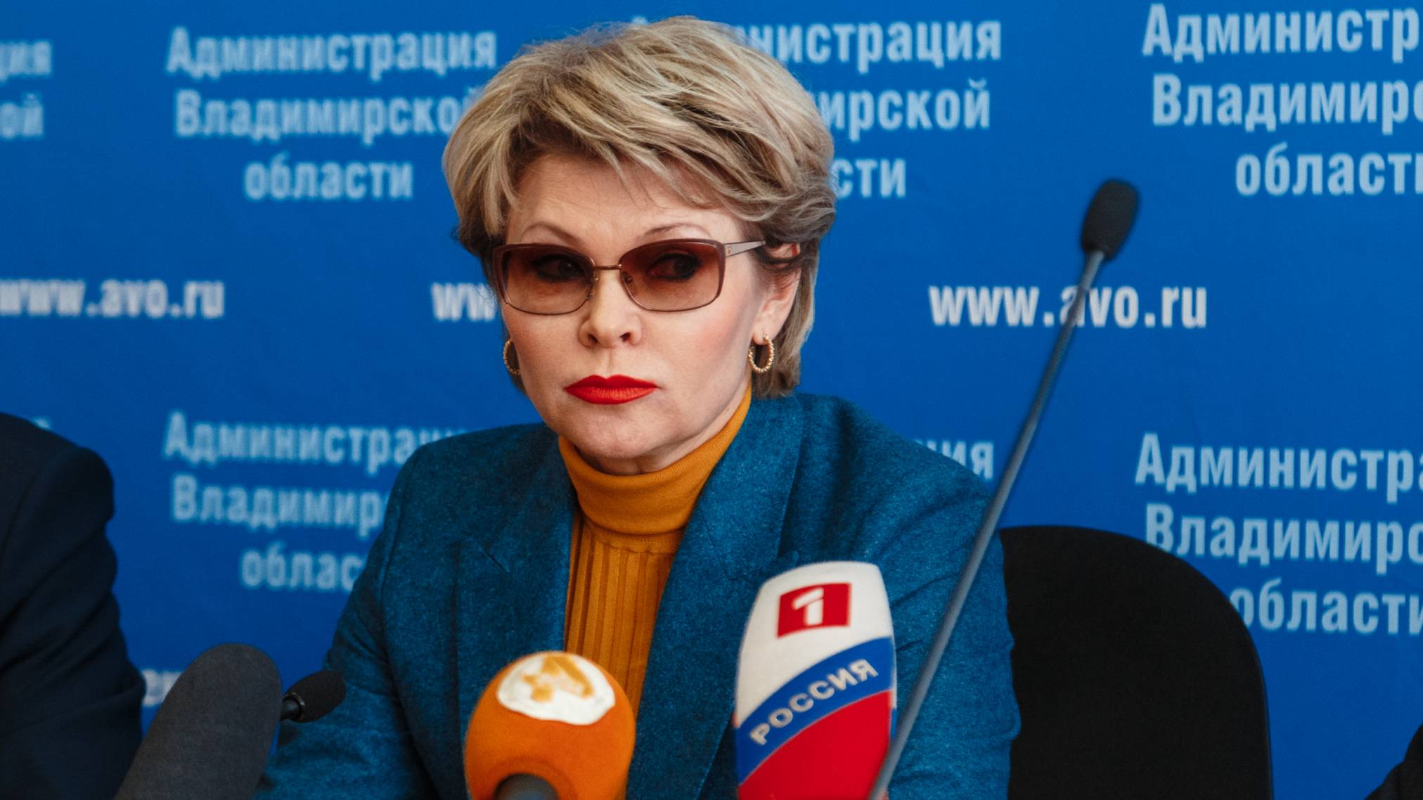 Бывшему вице-губернатору Владимирской области Елене Мазанько вынесли новый приговор за взятки