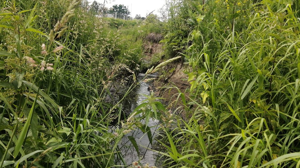 Факт сброса не очищенных сточных вод в речку Серая в черте Карабаново подтвердился