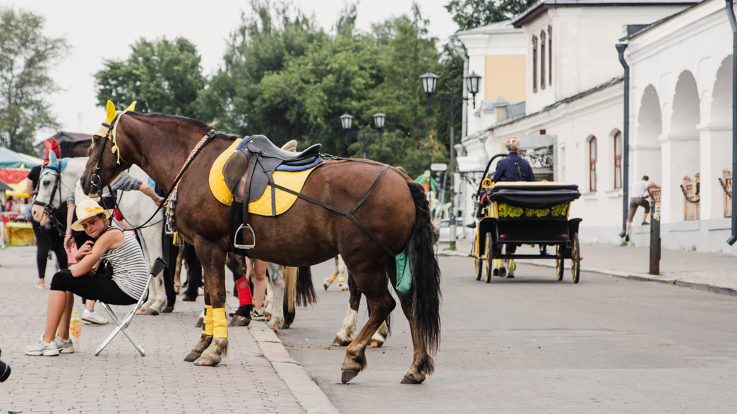 Суздальские власти пытаются упорядочить движение конных экипажей в городе-музее Суздальские власти пытаются упорядочить движение конных экипажей в городе-музее