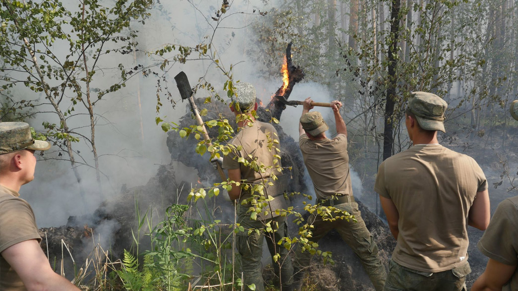 Руководство Владимирской области обратилось к военным за помощью в тушении природных пожаров