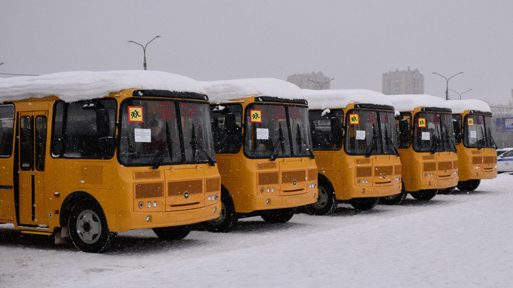 Владимирским школам раздали 37 новых автобусов