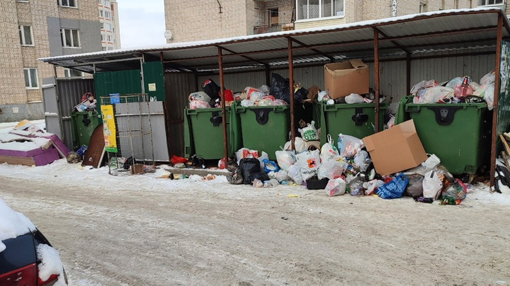 Заваленные мусором дворы обошлись «Биотехнологиям» в 250 тысяч рублей