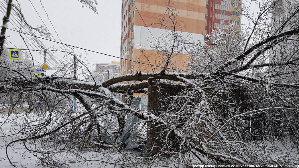 Первый снегопад при шквалистом ветре оборвал провода в 9 районах Владимирской области