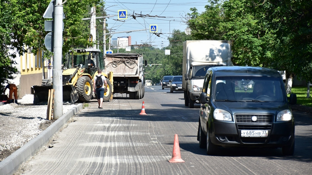 Новости владимира зебра