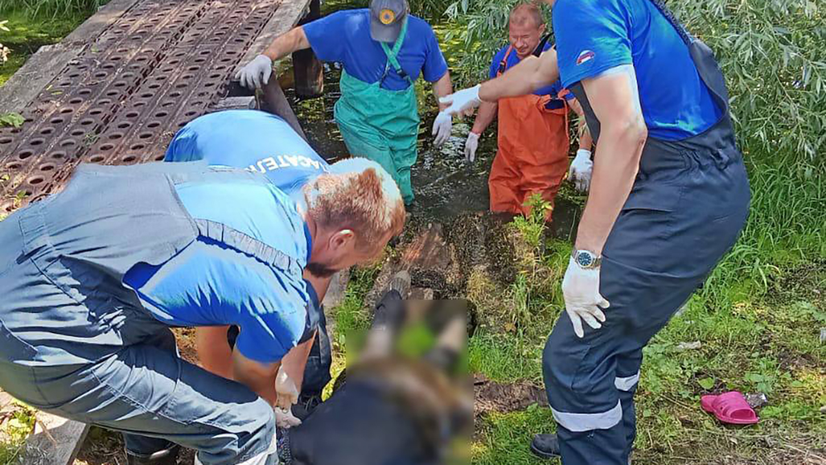 85-летняя бабушка утонула в речке Коневке в Лемешках