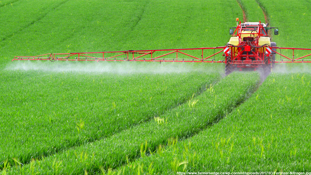 Владимирские аграрии резко увеличили удобрение почвы, чтобы получить рекордный урожай