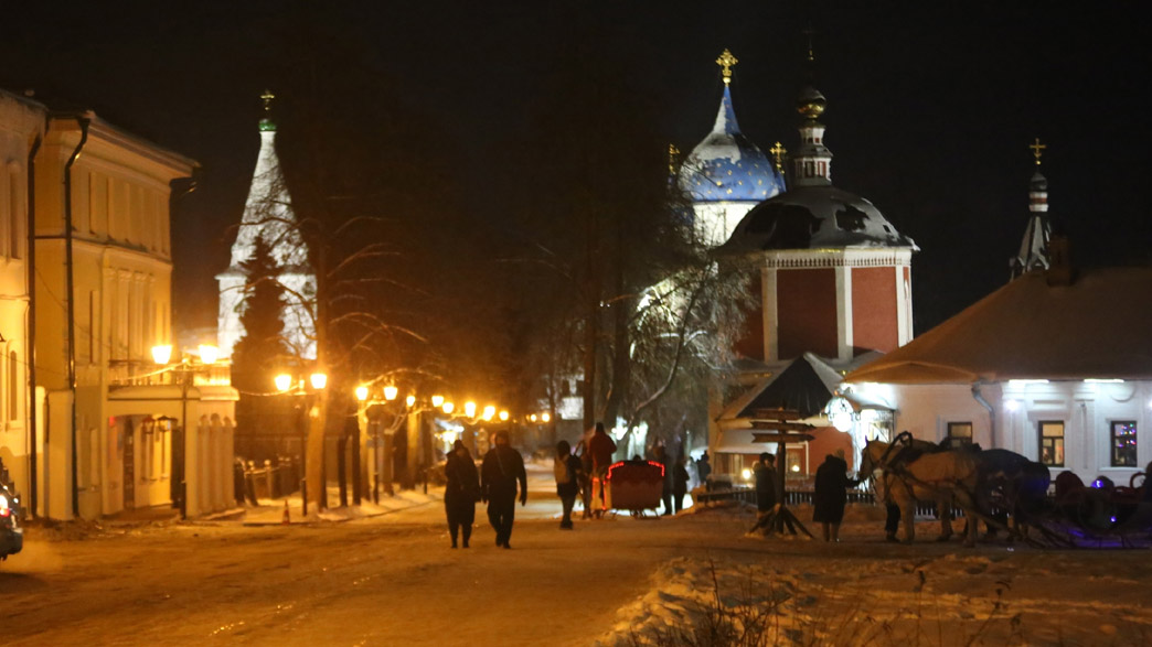 В Новогодней столице России гужевая повозка сбила журналиста