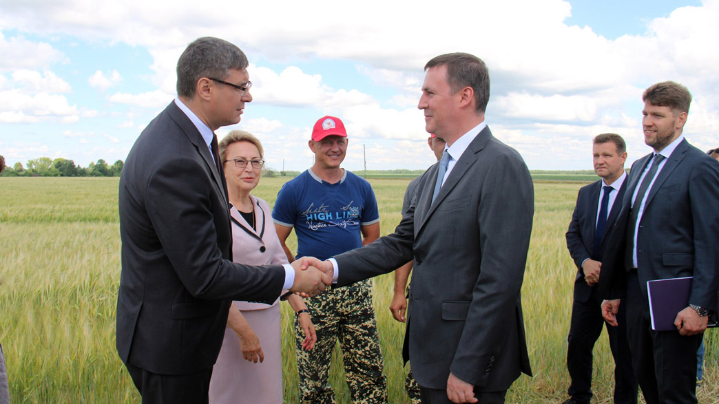 Зачем во Владимирскую область приезжал министр сельского хозяйства Дмитрий Патрушев?
