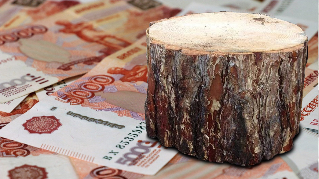 Суздальский полицейский отказался от взятки, предложенной ему нелегальным заготовителем древесины