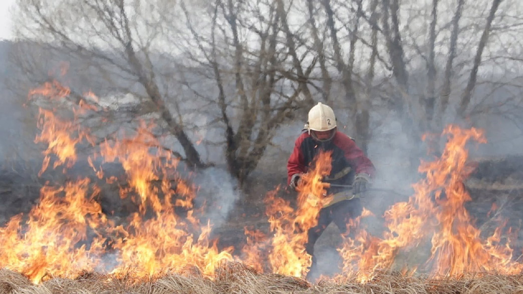 Из-за роста числа пожаров, связанных с палами травы, во Владимирской области вводят особый пожароопасный режим
