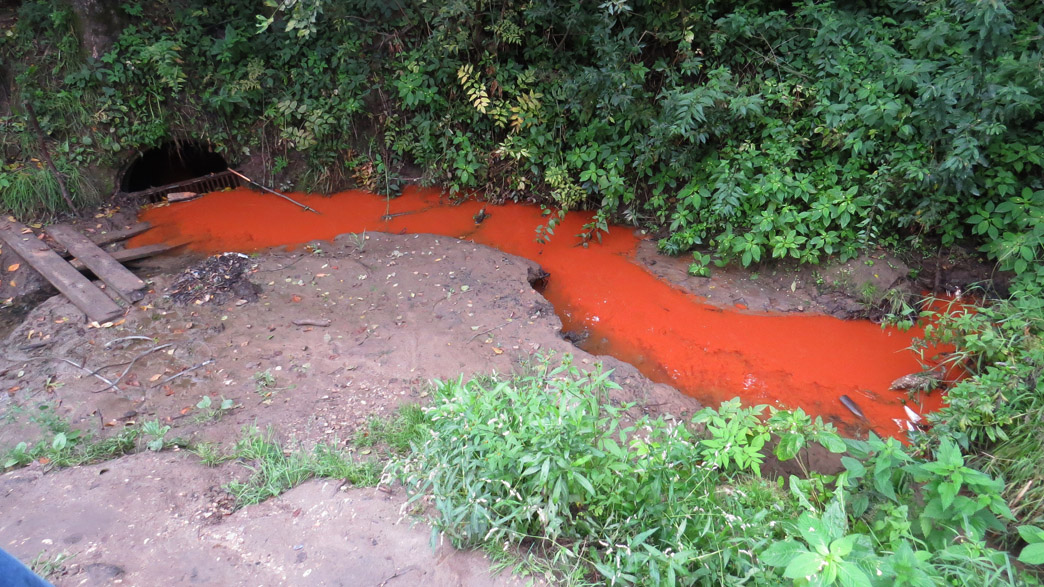 Видели в лесу родник с оранжевыми. Оранжевая речка. Вода в ручье оранжевая. Оранжевый Родник. Вода в речке оранжевая.