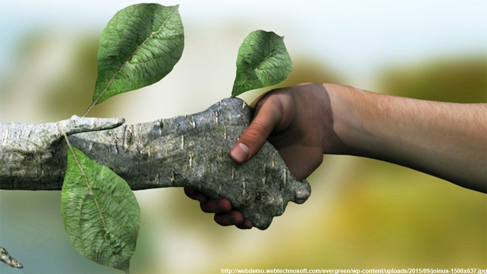 trees are our best friends trees are our best friends