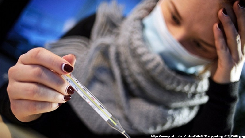 Во Владимирской области за последние сутки выявлен 61 случай заражения коронавирусом