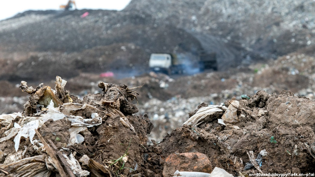 Прокуратура нашла нарушения у компании «Эко-Транс», которая стала «мусорным» оператором зоны №3 во Владимирской области