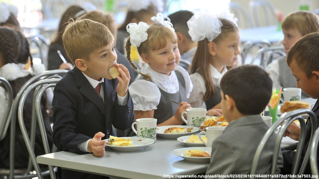 Владимирских младшеклассников накормят бесплатными горячими завтраками на 58 рублей в день