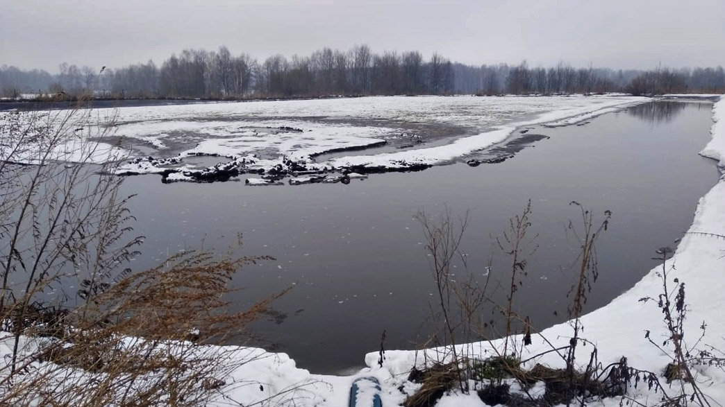 Ферму знаменитого владимирского сыровара Джона Кописки уличили в загрязнении навозом притока реки Клязьма