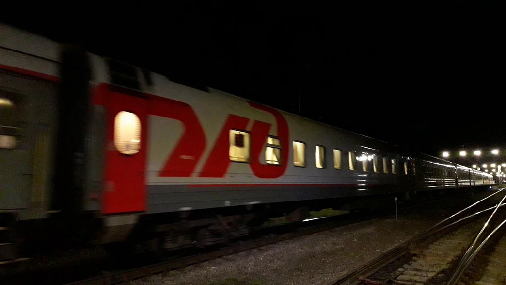 Скоростной поезд «Ласточка» сбил во Владимирской области женщину