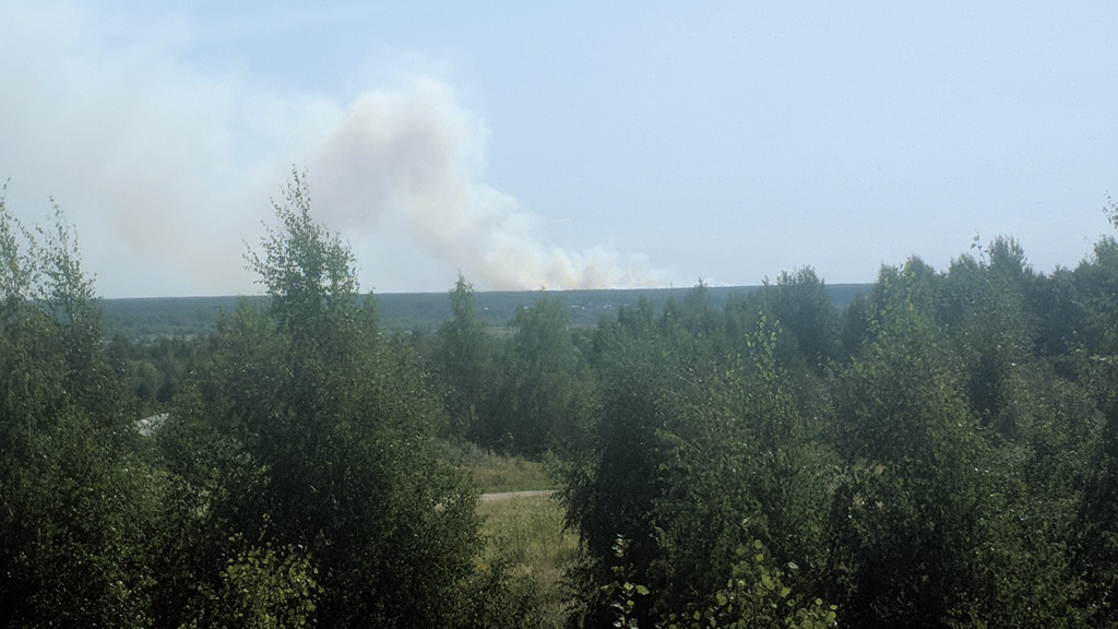 Под Петушками горит «военный» лес на 150 гектарах