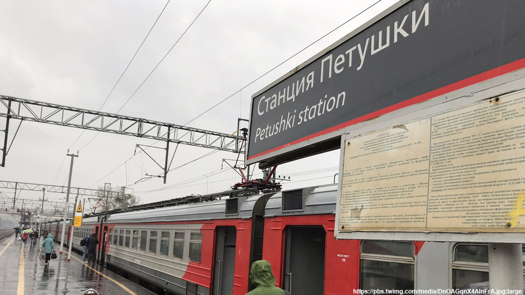 Жителям закрытого на карантин по коронавирусу Петушинского района Владимирской области ограничивают доступ в электрички и поезда