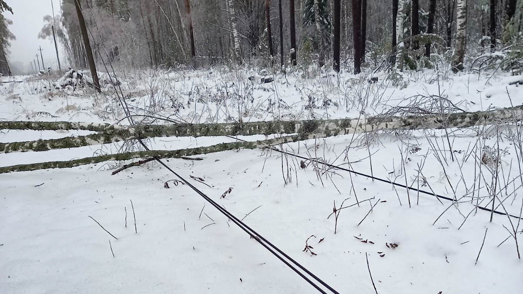 Во Владимирской области почти сотня населенных пунктов остаются без света после ледяного дождя