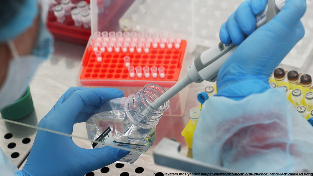 Во Владимирской области открывают пятую лабораторию по тестированию на Covid-19. В планах — сделать доступным платные анализы на коронавирус в частных лабораториях