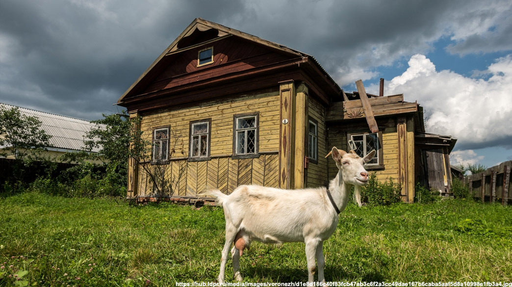 Какую деревню Владимирской области признают самой красивой в 2022 году?