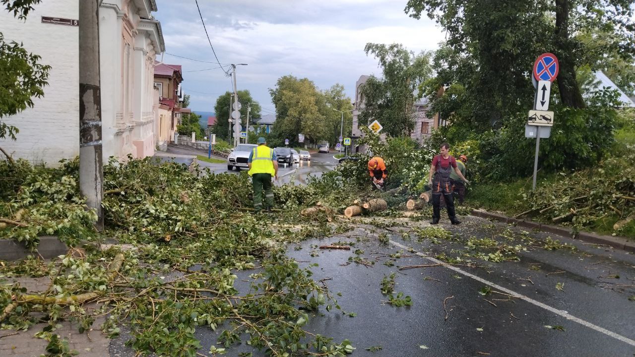 Ураган повалил во Владимирской области сотни деревьев