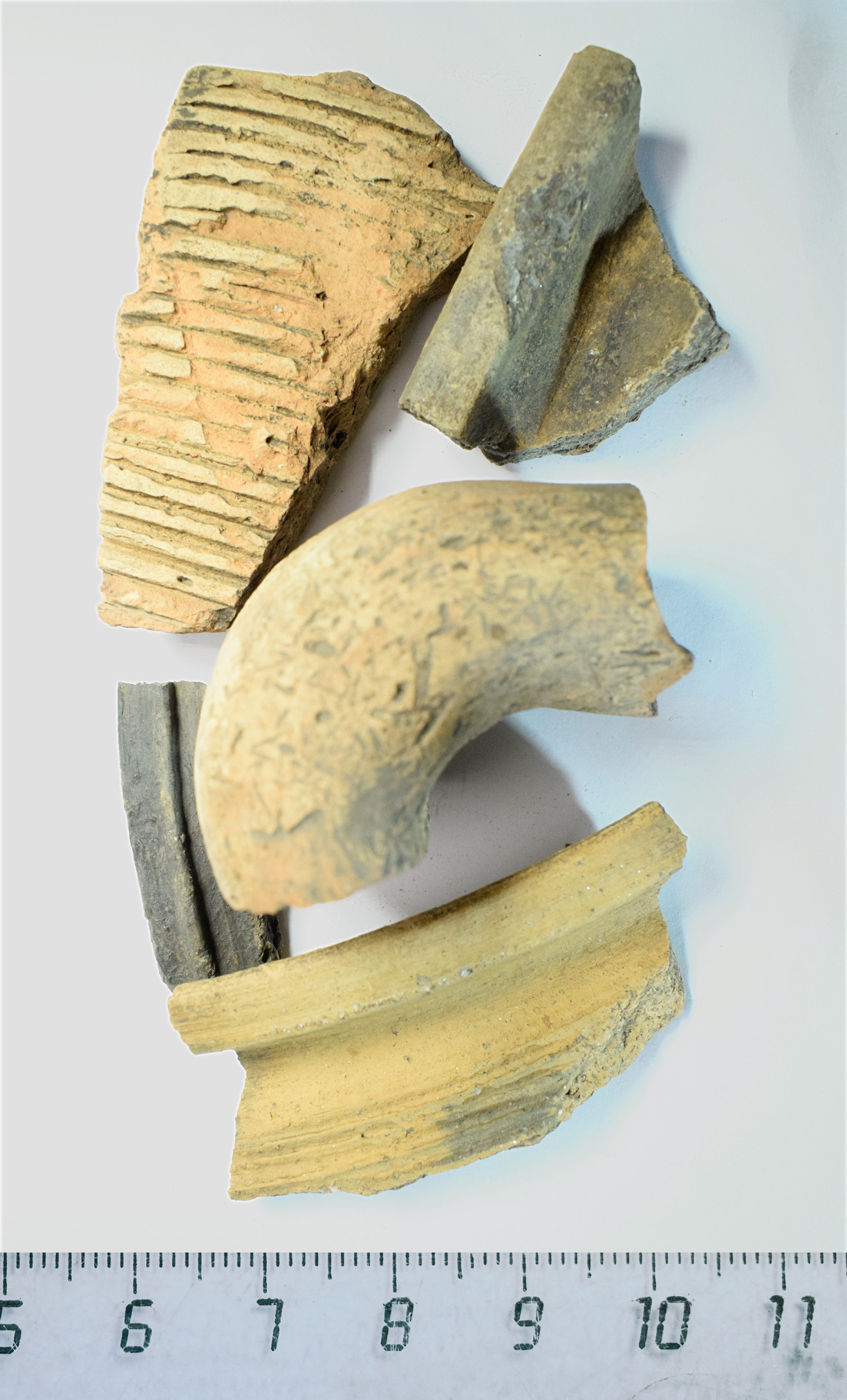 archeo06.jpg