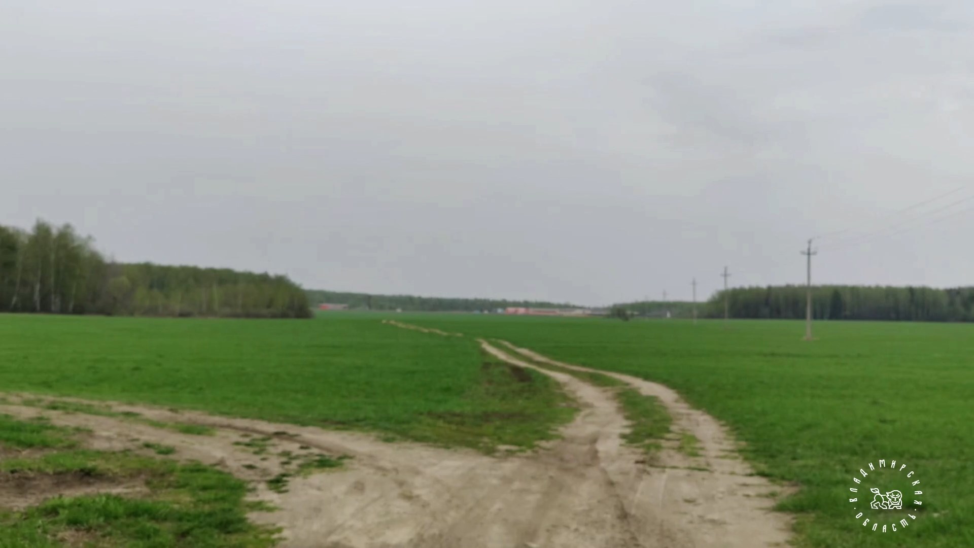 Видео от Агентство Экономического Развития (1080p) (via Skyload).mp4_snapshot_02.06.184.jpg