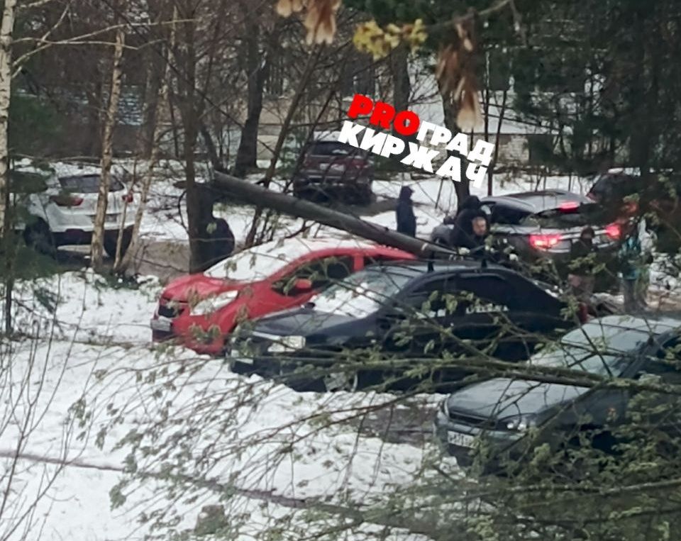 photo_2026-04-27_19-58-05 (2).jpg