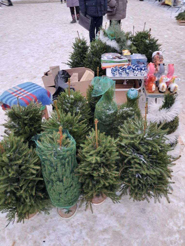 photo_2025-12-26_11-49-05 (2).jpg