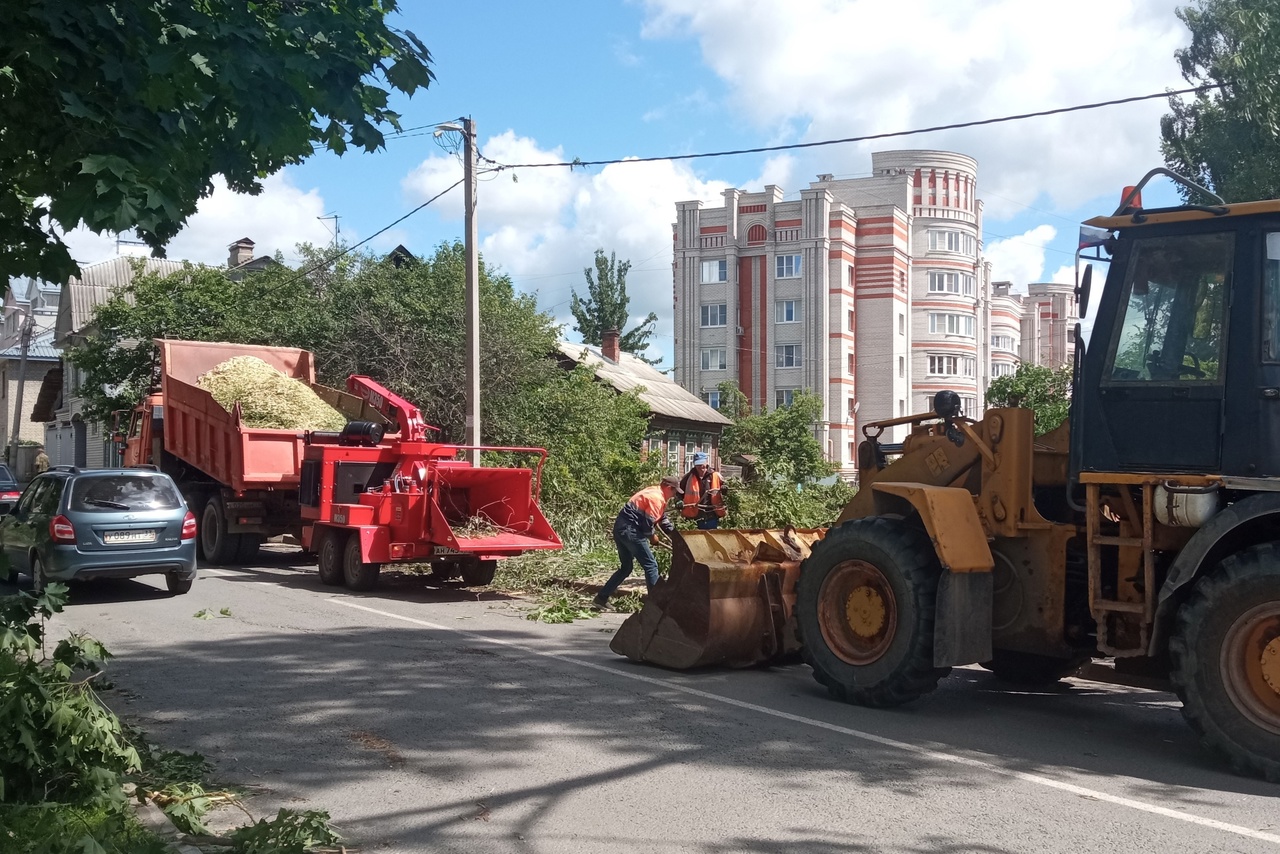 Ураган повалил во Владимирской области сотни деревьев - новости Владимирской  области