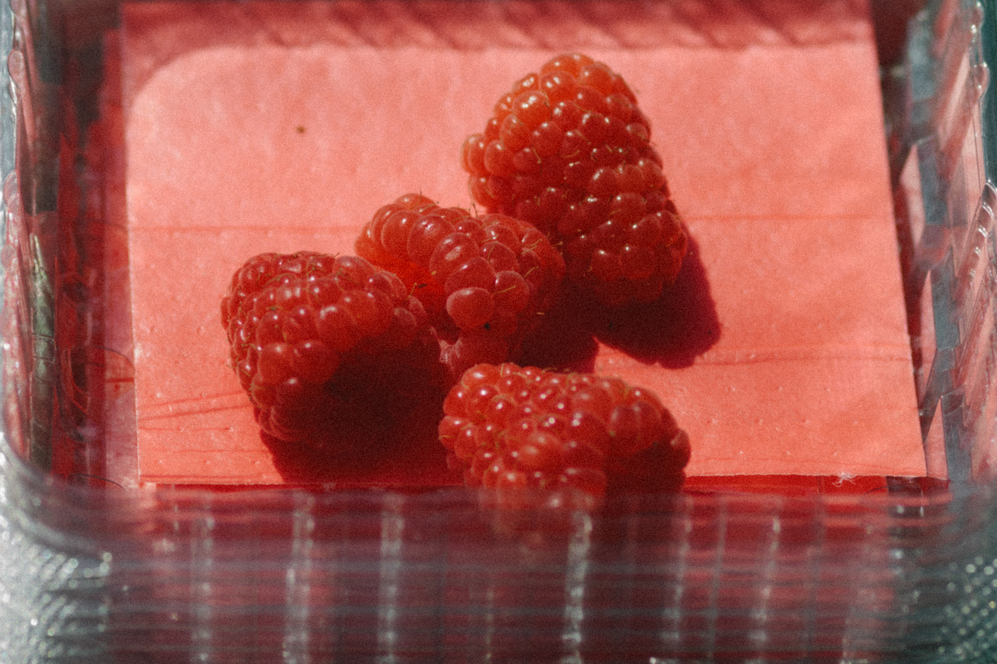 SKRVC0031-2803.jpg