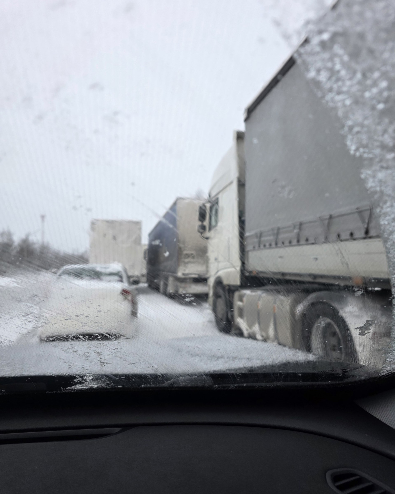 photo_2026-02-01_08-49-06 (2).jpg