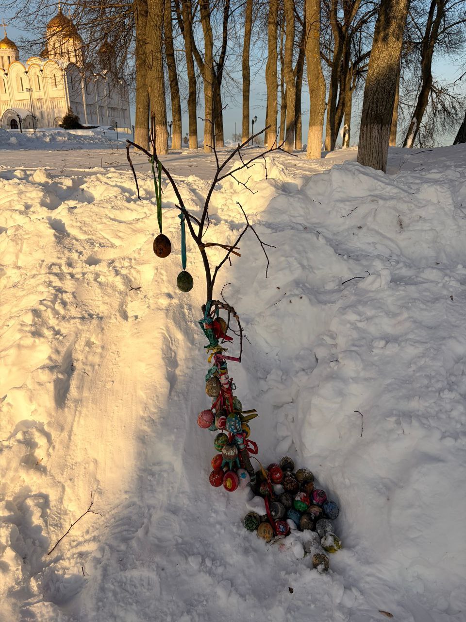 photo_2026-02-24_13-32-24 (2).jpg