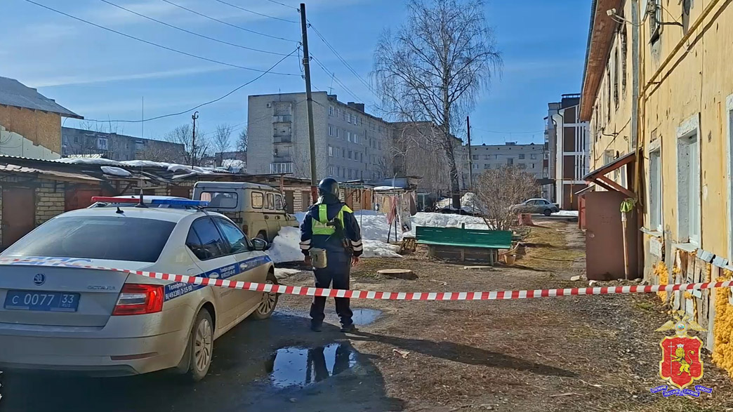 Gorohovets_trotilovie_shashki16_9.jpg