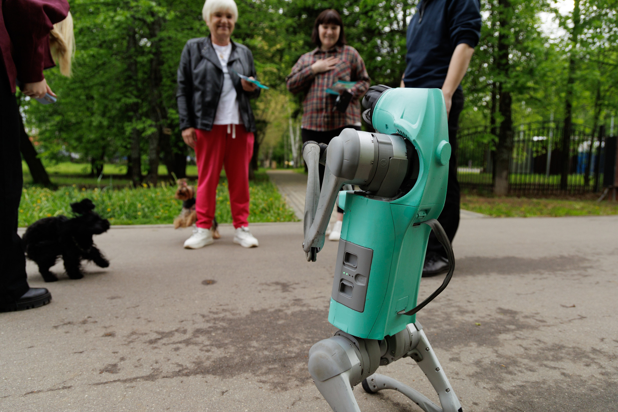 мая 21, 2025-IMG_7017.JPG