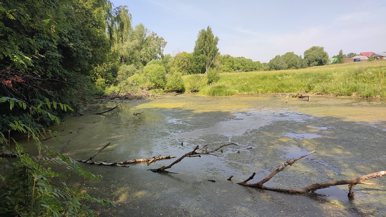 Село Семеновское готовится стать частью города Владимира. Это должно помочь  решить проблемы местных жителей - новости Владимирской области